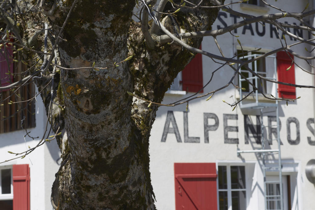 Alpenrose Gadmen - Gasthaus Kültér fotó